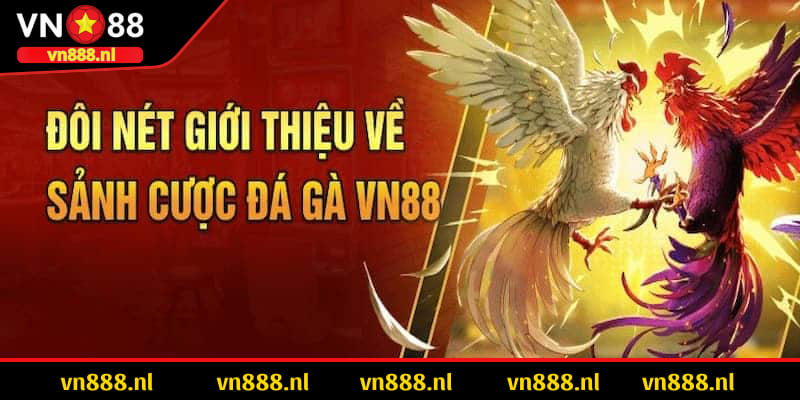 Thông tin giới thiệu sơ lược về đá gà VN88